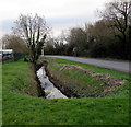 Reen below Nash Road, Newport