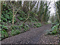 Former railway line near Larpool