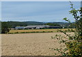 Smeafield Farm in Northumberland