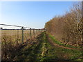 Track leading to Dereham Windmill