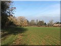 Path nearing Cublington