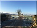 Track towards Round Spinney