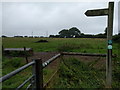 Footpath sign and fields