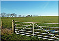 Grazing Land Near Auchinleck