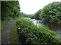 Weir on the River Garnock