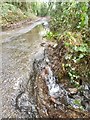 Roadside waterfall