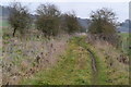 Byway below Hazel Down