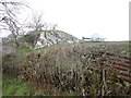 Limestone outcrop near Llanarmon-yn-I