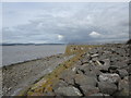 The remains of the railway pier at New Passage