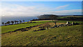 NH8066 : Moray Firth from the ridge of Gallow Hill by Julian Paren