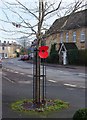 Large poppy, High Street, Bampton, Oxon