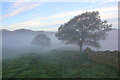 SD2887 : Morning Mist on The Knotts by Jeff Buck