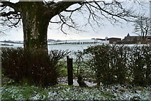 H5064 : Wintry at Moylagh by Kenneth  Allen