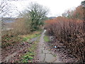 Llwybr ger Morfa Glas / Path near Morfa Glas