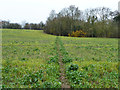 Footpath towards Noak Farm, Hogscross Lane