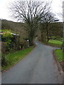 Up the lane towards Coed Penbryn