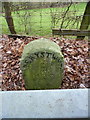 19th Century turnpike milestone - Goginan