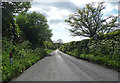 Country road near Leinthall Starkes (1)