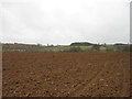 Ploughed field