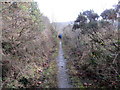 Llwybr hen reilffordd / Former railway path