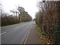 J0605 : View South along the R171 (Blackrock Road) by Eric Jones