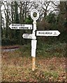 SU3625 : Old Direction Sign - Signpost west of Braishfield by Milestone Society