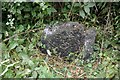 Old Milestone by the A548, Fron-goch, Llanfair Talhairn Parish