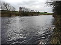 River South Tyne upstream of Fourstones village