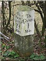 Old Milestone by the River Wansbeck, Wallington