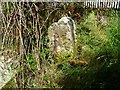 Old Boundary Marker by footpath at Holton Heath Station