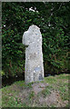 Old Wayside Cross near Challabrook Farm, Bovey Tracey