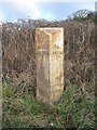 Old Milepost by the A458, south east of Bridgnorth