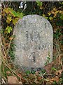 Old Milestone by the B741, Rowanston