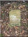 Old Boundary Marker in Westlaw Wood off the A694