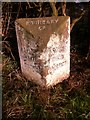 Old Boundary Marker by the A583, north west of Kirkham