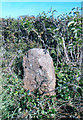 Old Milestone by the B4077, Alderton Fields