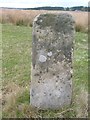 Old Milestone by the B743, Avondale Parish