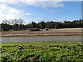 Bales in stubble