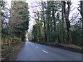 Short Thorn Road near Botany Bay Farm