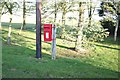 Post box among the trees