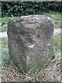 Old Milestone by the A620, Welham