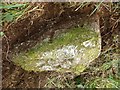 Old Boundary Marker in Boconnoc Parish, near Trecangate