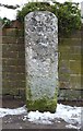 Old Milestone by High Street, Watton at Stone