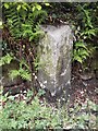 Old Milestone by old road in Cairndow, Lochgoilhead & Kilmorich Parish