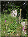 Old Wayside Cross - Leapra Cross by the B3212, North Bovey Parish