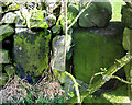 Old Boundary Markers by the B6107, Chain Road, south of Holt Head