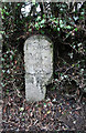 Old Milestone by the B3352, Plymouth Road, Linhay, Ashburton Parish