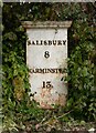 Old Milepost by the A36, west of Serrington, Stapleford Parish