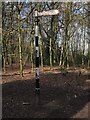 Old Direction Sign - Signpost in Eastham Woods, Eastham Ferry, Wirral