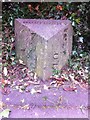 Old Boundary Marker by the A676, Bolton Road